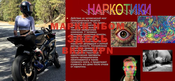 apvp Новозыбков
