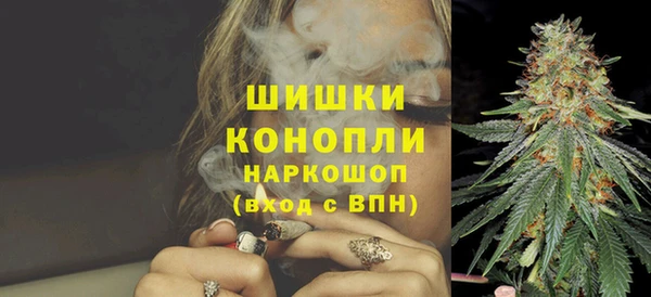 apvp Новозыбков