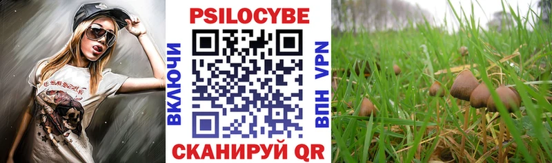 kraken вход  закладки  Динская  Псилоцибиновые грибы прущие грибы 