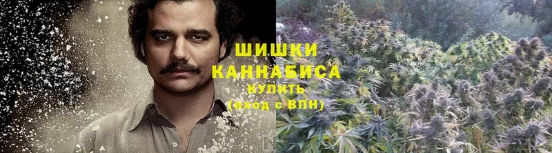 купить закладку  Динская  Конопля SATIVA & INDICA 